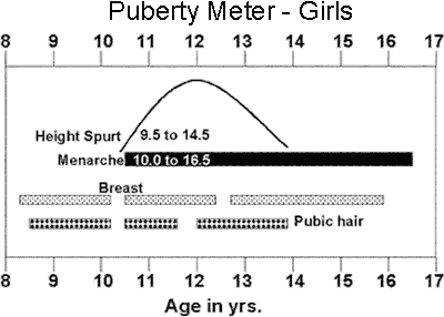 Puberty Meter - Girls